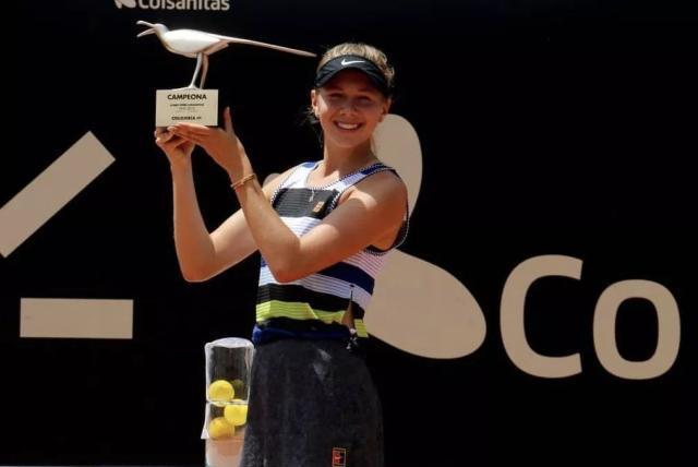 动体验活动 动体验活动