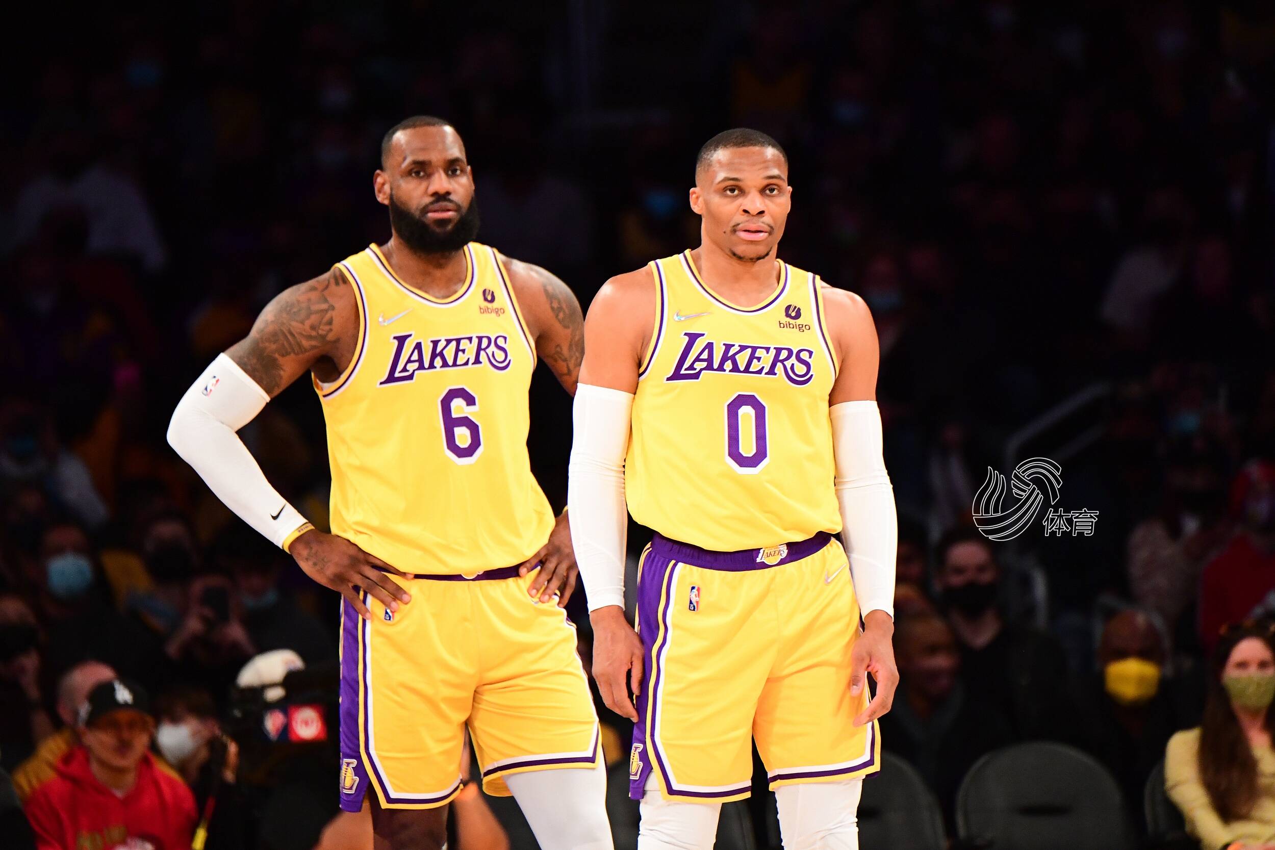 新手在制定 新手在制定